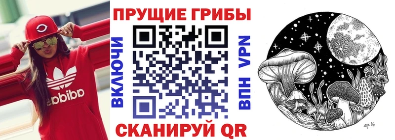 Галлюциногенные грибы Psilocybe  ссылка на мегу сайт  Ясногорск  купить  